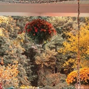 Meet your Posher, Lupe